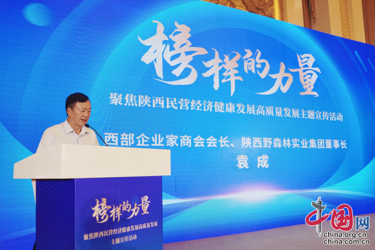 图片11