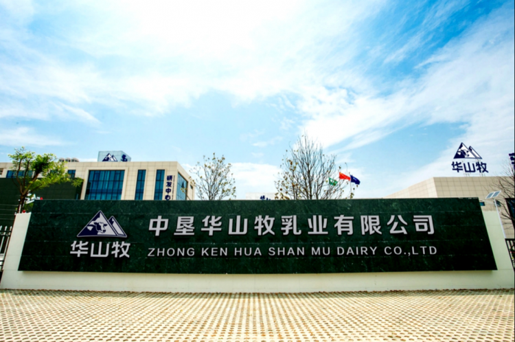 图片11