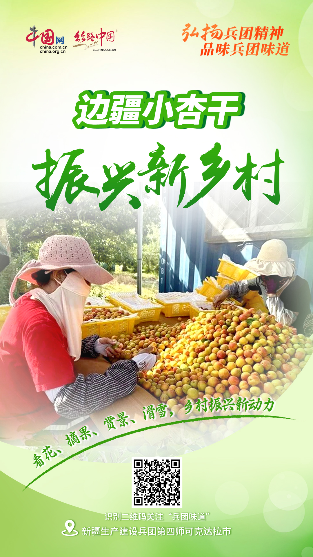 品味兵团味道丨小杏干 大产业